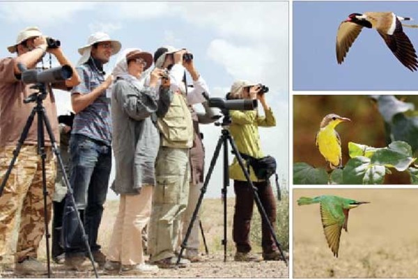 پرنده‌نگری‌ یک ‌تفریح ‌علمی ‌است 